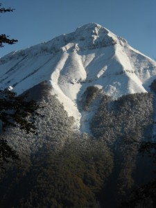 DSCN0772