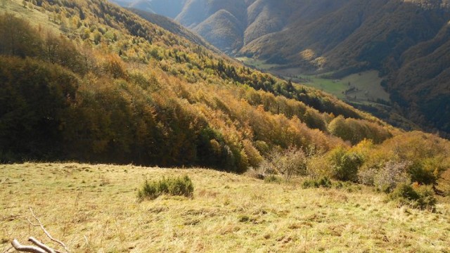 PGF Comune di Preone