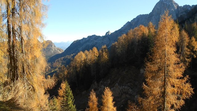PGF Comune di Ampezzo