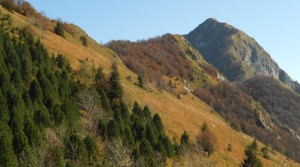 PGF Comune di Cavazzo Carnico