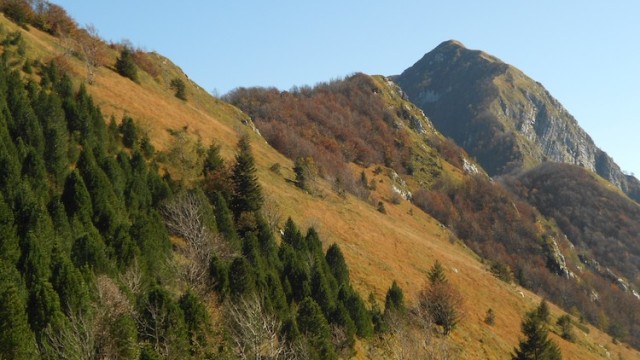 PGF Comune di Cavazzo Carnico