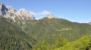 PGF Comune di Forni Avoltri