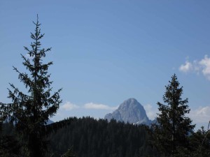 IMG_0599