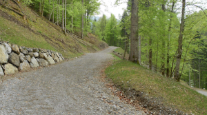 Sistemazioni idraulico-forestali Sistemazioni idraulico-forestali