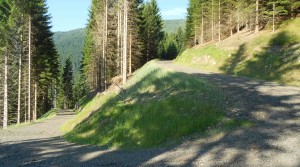 Strada forestale Casera Foranc