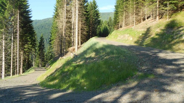 Strada forestale Casera Foranc