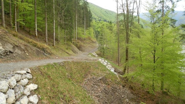 Strada forestale Destra Tagliamento – Grasia – Costa Piana