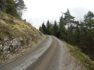 DSCN5749